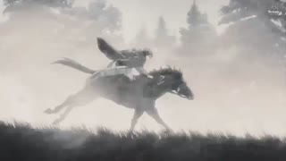 Levi Ackerman - On The Battlefield; Attack on Titan [AMV]