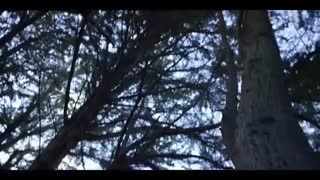 Gansh - i hate u, i love u ft.olivia o'brien