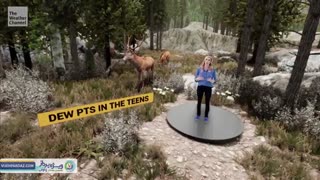 استفاده از فناوری واقعیت ترکیبی در اخبار ورسانه