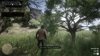 RDR2 Wild Animals #6
