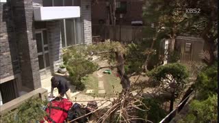 سریال کره ای لی سون شین بهترینه Lee Soon shin is the Best با بازی آیو(IU) جو جونگ سوک + زیرنویس فارسی [قسمت چهاردهم تو بهترینی]