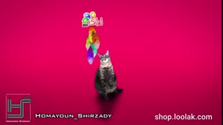 ویدئو موشن معرفی محصول - سفارش موشن گرافیک