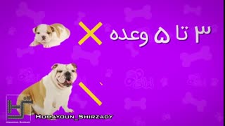 موشن گرافیک اینفوگرافیک - سفارش موشن گرافیک