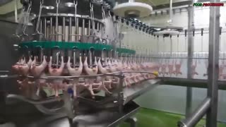 دستگاه های  شگفت انگیز  تولید و بسته بندی گوشت مرغ