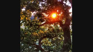 ویدیو انگیزشی - زبان اصلی