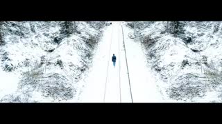 موزیک ویدیو spring day از bts