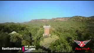 سفر به رانتاپور هند شهر ببر بنگال