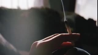 _ دو روز نبودم _