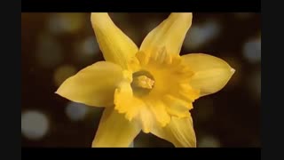 ۹۹ نام نیک پروردگار (اسما ء الحسنی ۲)