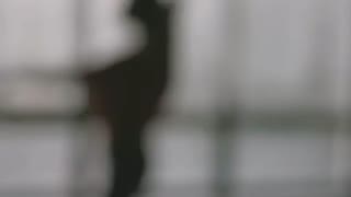 Endless Melancholy - November