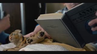 سریال Stranger Things فصل اول قسمت 8 (آخر) با زیرنویس فارسی