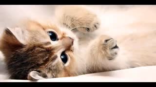 دوستان میشه آدرس ویدیو هاتونو برای مسابقه بزارین^^