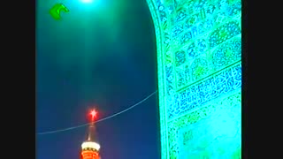زیارت خاصّه امام رضا(ع)