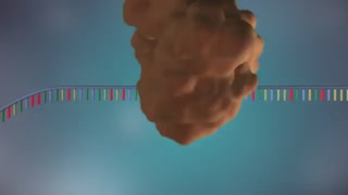 همانندسازی DNA