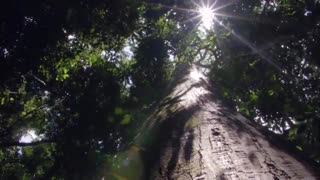 مستند سیارۀ زمین Planet Earth فصل اول قسمت 8  HD