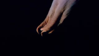 مستند سیارۀ زمین Planet Earth فصل اول قسمت 11 HD (پایان)