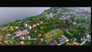 دانلود فیلم شاخ کرگدن