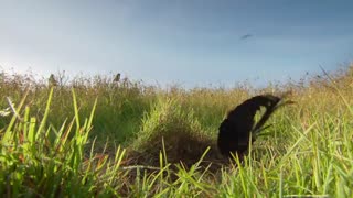 مستند سیارۀ زمین Planet Earth فصل دوم قسمت پنجم HD