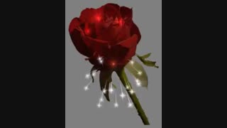 سلام بیاید توضیحات