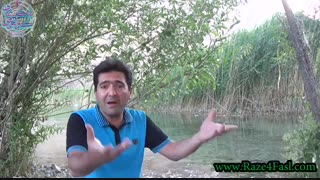 چگونه می توان با بخشش دیگران انرژی خود را افزایش دهیم؟!