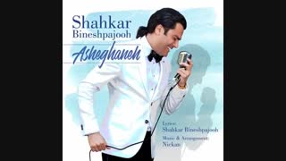 Shahkar Bineshpajooh - Asheghaneh | آهنگ جدید شاهکار بینش پژوه به نام عاشقانه