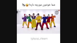 شما خونتون مورچه داره؟؟؟؟