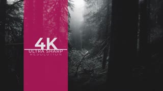 مجموعه 26 تایتل های آماده کیفیت بالا برای پریمیر پرو و افتر افکت