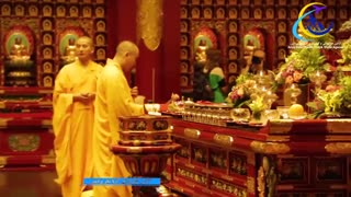 چند دقیقه گردشگری در سنگاپور با دیدن این ویدئو