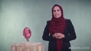 چه مراقبت هایی بایدپیش از بارداری انجام دهیم؟