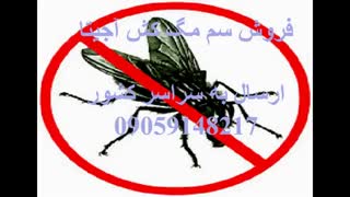 سم مگس کش آجیتا اصل