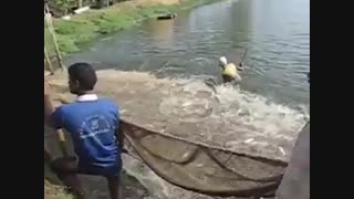 زیباترین فیلم ماهیگیری با پره و پرورش کپور