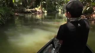 زیباترین روش و فیلم اموزش پرتاب لنسر ماهیگیری در رودخانه و صید ماهی بزرگ