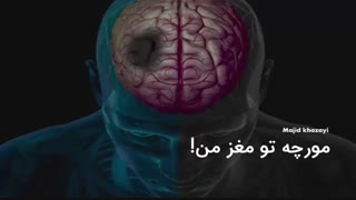 مورچه ای تو مغز من حرف میزنه!
