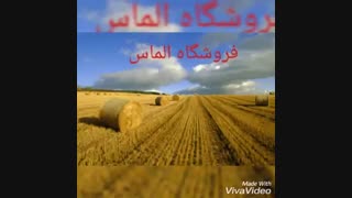 فروشگاه الماس ۱۸