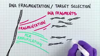 Next Generation Sequencing