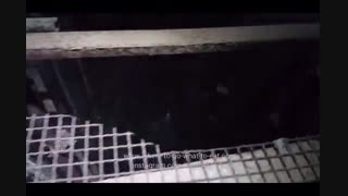 جاذبه ها و اماکن تاریخی و تفریحی و رستورانهای جهانشهر یزد