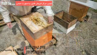 آموزش کامل پرورش زنبور عسل بصورت گام به گام