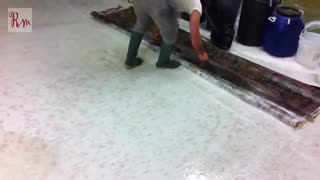 شستشوی فرش دستبافت در کارخانه قالیشویی