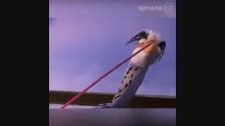 انیمیشن  سگ وماهیگیر