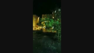 ایرونی جماعت ینی این!!!