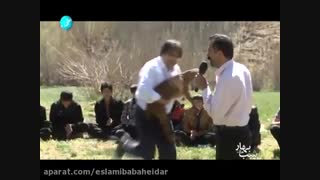 شبهای بام ایران