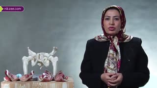 آموزش اصلاح وضعیت در بارداری و بهداشت فردی