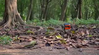 کوادکوپتر وینگزلند مدل M5