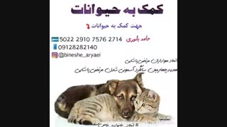 چهارمین سالگرد اسمانی مرتضی (قسمت دوم اتحاد خانواده خاص) (توضیحات مهم)