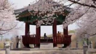 کلیپی از مکان های زیبای کره