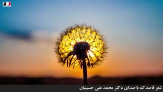 دکلمه شعر قاصدک (با صدای دکتر محمد علی حسینیان) لمینت