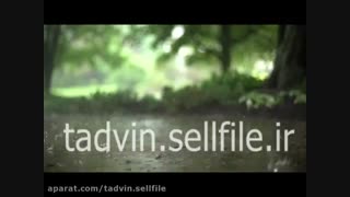 دانلود فوتیج بارش باران