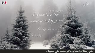 دکلمه شعر زمستان (با صدای دکتر محمد علی حسینیان)