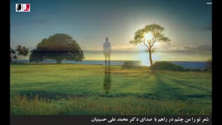 دکلمه شعرتو را من چشم در راهم (با صدای دکتر محمد علی حسینیان)