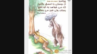 دوستی با احمق …❇… پیامبر (ص)